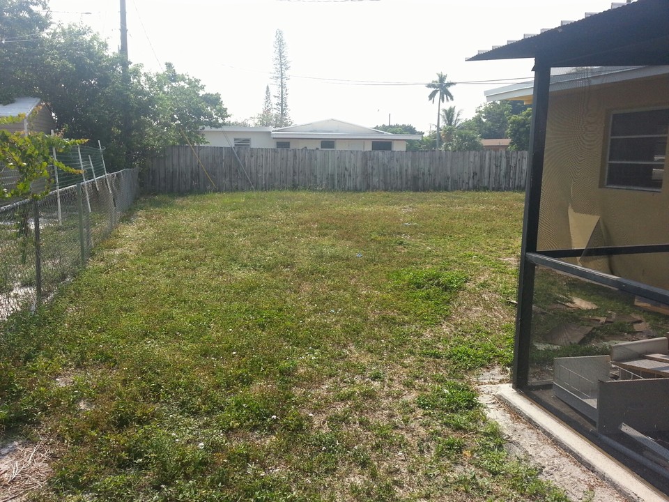 back yard